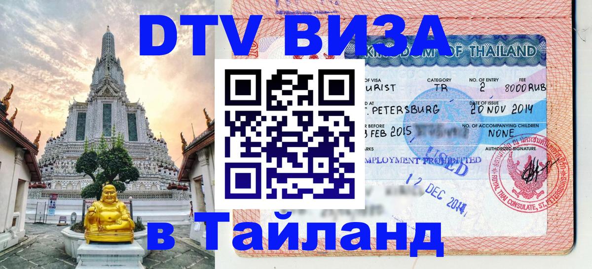 Сколько стоит DTV виза — актуальные цены, оформление даже без документов - Новосибирск  03.10.2025 